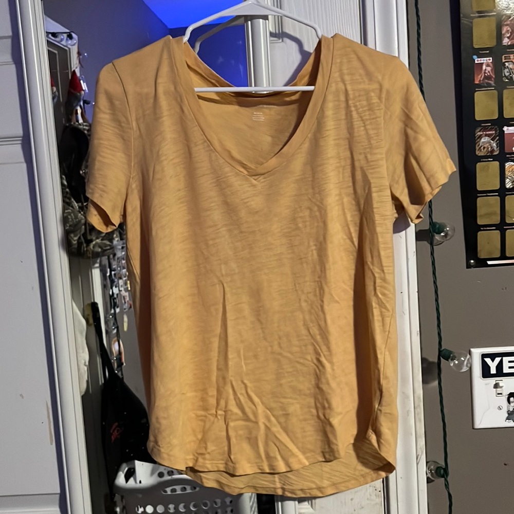 American Eagle v-neck tee